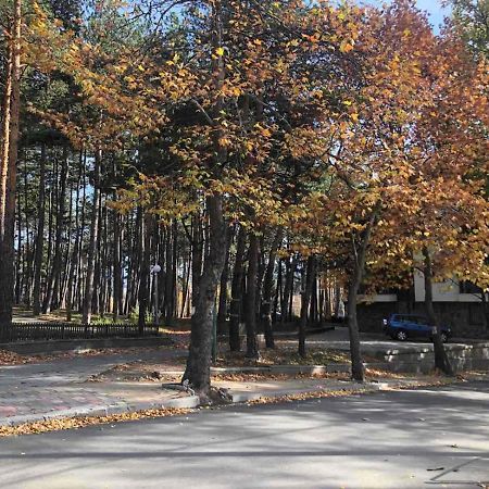 Borov Park 1 Leilighet Velingrad Eksteriør bilde