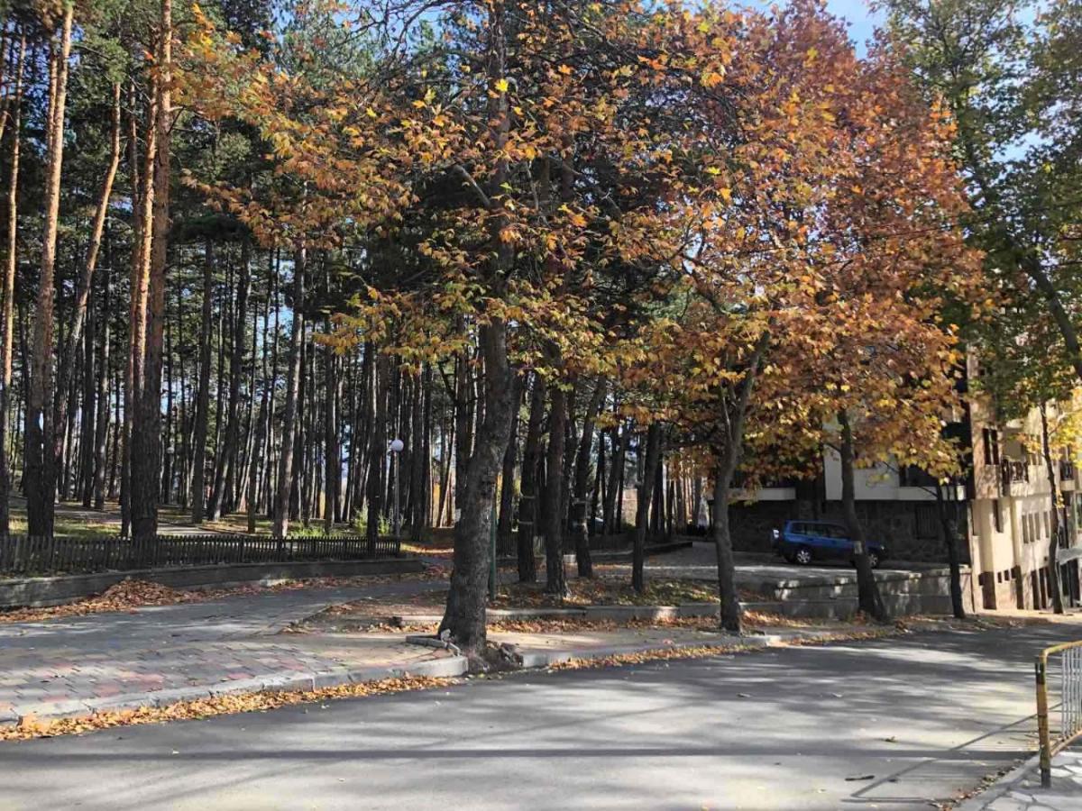 Borov Park 1 Leilighet Velingrad Eksteriør bilde