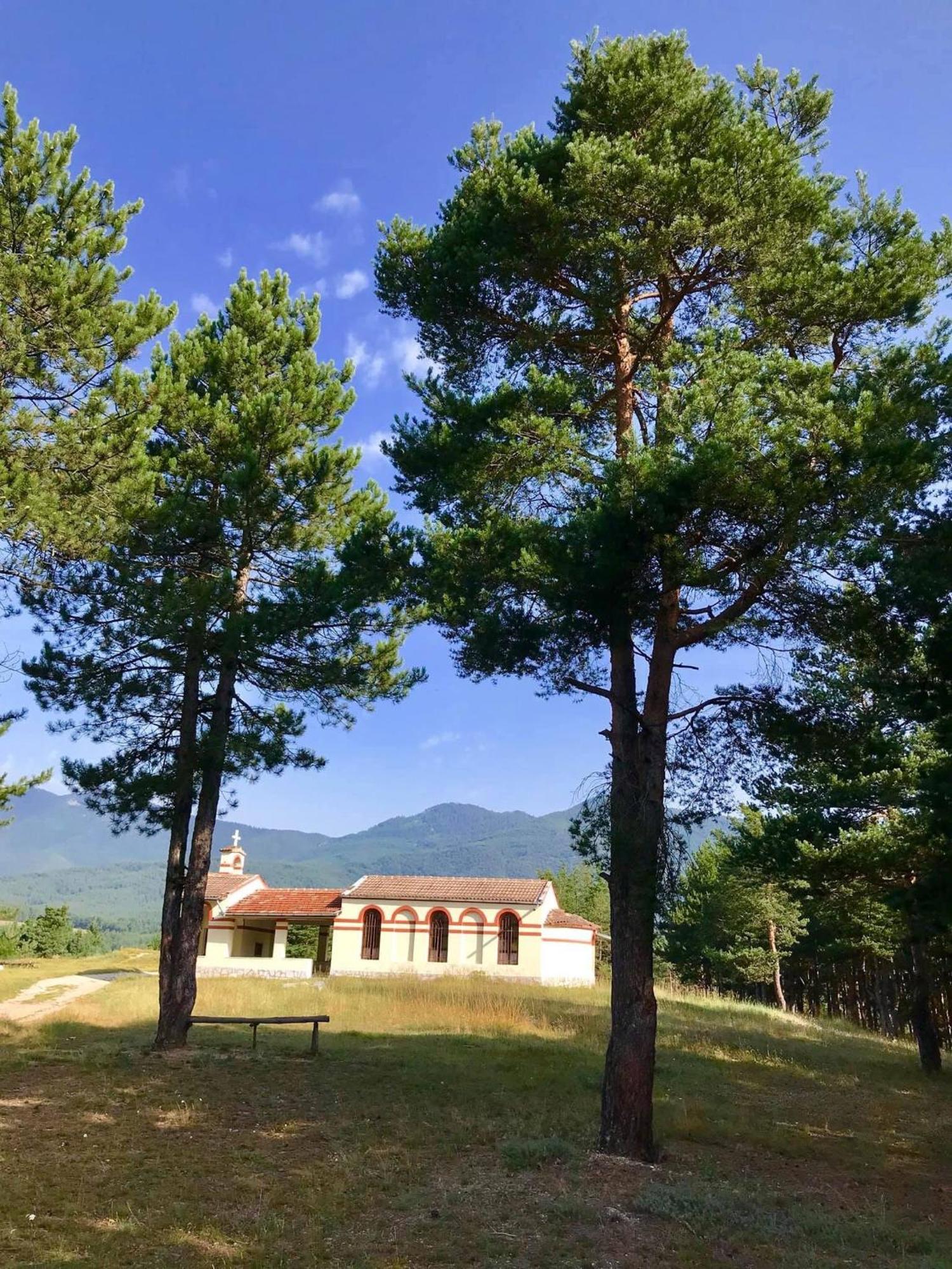 Borov Park 1 Leilighet Velingrad Eksteriør bilde